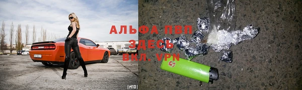 ПСИЛОЦИБИНОВЫЕ ГРИБЫ Сосновый Бор